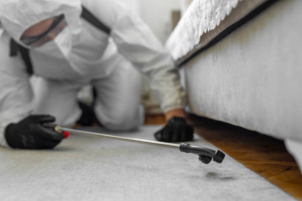 Professional Bed Bug Control technician working in Lake Grove, NY